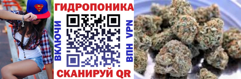 как найти закладки  Пласт  Канабис гибрид 